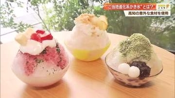 高知の進化系かき氷は「薬味」が主役！？大葉やさんしょうを使ったスイーツをOMO7高知が提供