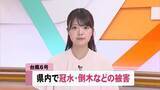 「【台風6号】高知・四万十町で道路冠水　芸西村では看板が倒れる　倒木も」の画像1