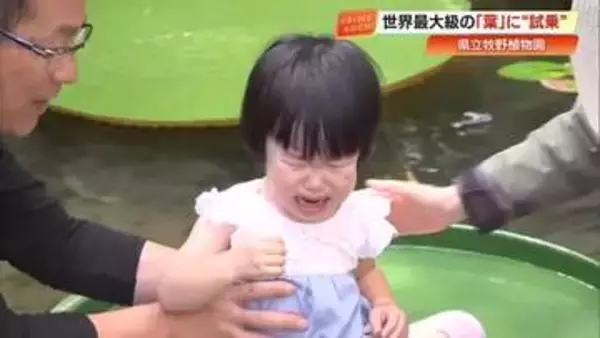 牧野植物園で巨大な葉「オオオニバス」に乗ろう！思わず大泣きも…今しかできない思い出づくり【高知】