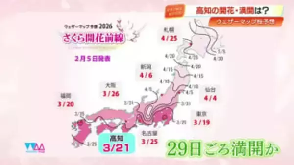 【高知】桜開花予想は3月21日、満開は29日頃　ウェザーマップが2回目の発表