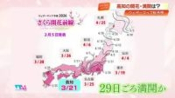 【高知】桜開花予想は3月21日、満開は29日頃　ウェザーマップが2回目の発表