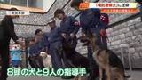 「県警がシェパードなど「嘱託警察犬」に任命　行方不明者の発見に貢献した実績も【高知】」の画像1