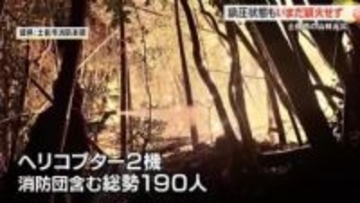 土佐市山林火災ほぼ鎮圧【高知】
