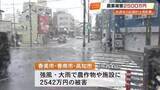 「再び“春の嵐”か、あすにかけて大気非常に不安定　先週の嵐で2542万円の農業被害【高知】」の画像1