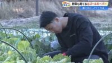 元Jリーガーが挑む異色の「三刀流」！元高知ユナイテッドSC・井上聖也さんのセカンドキャリアに密着