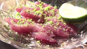 全国から客が殺到する中土佐町「メジカの新子」が水揚げゼロ！？鮮魚店店主も「神頼みやね」【高知】