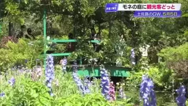 GW《モネの庭》はスイレン見頃　高知・北川村で「思った以上にきれいで驚いています」