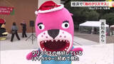 「【桂浜で海のクリスマス】おとどサンタも登場「見た目がかわいかった」12月25日までイルミネーション」の画像1