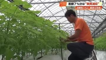消費税減税は《手放しで喜べない》売上7％減に直結する農家が所得補償を訴える【高知】