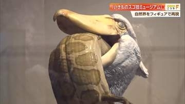 海洋堂のフィギュアで生き物の“スゴ技”再現　宮脇センム「フィギュアは生き生きしている」　高知・南国市で企画展