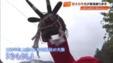 全長8メートル『牛鬼』が集落巡る　四万十町の伝統「冬もうし 」地域外の若者が助っ人に【高知】