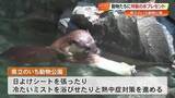 「コツメカワウソもパクリ「のいち動物公園」で動物たちに好物入り“特製氷”プレゼント【高知】」の画像1