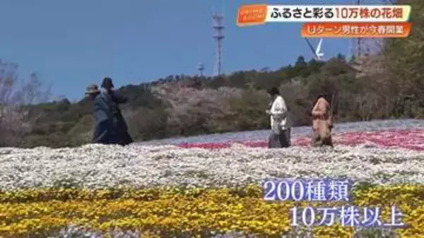 「天国みたい」耕作放棄地を10万株の花が咲き誇る“花畑”へ再生　高知・大月町の「花咲農園」