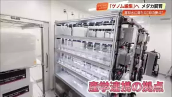 “ゲノム編集”で養殖の生産性向上へ！高知大学に新たな研究施設完成「一次産業に還元できるように」