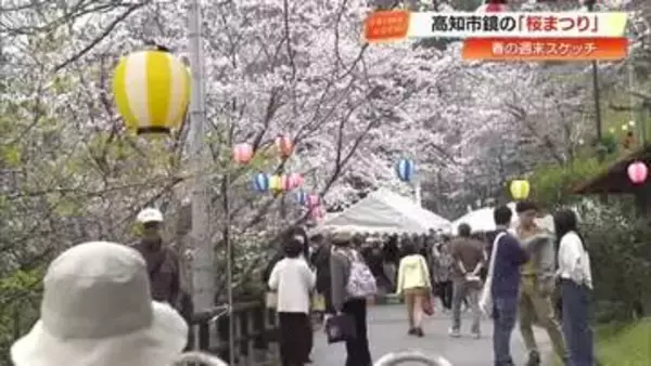 300本の桜が満開に！「かがみ桜まつり」大盛況　経営者ら「ハチドリ会」がお手伝い【高知】