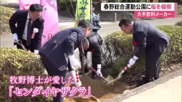 春野総合運動公園に新たな彩り　伊藤園が牧野博士も愛した『センダイヤザクラ』を植樹【高知】