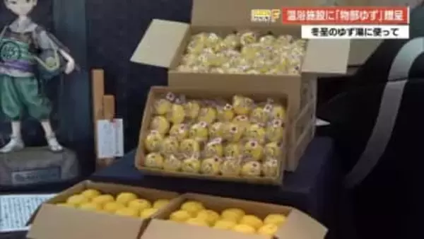 冬至のゆず湯に　高知市・姫若子の湯に「物部ゆず」贈呈　22日は先着300人にプレゼントも