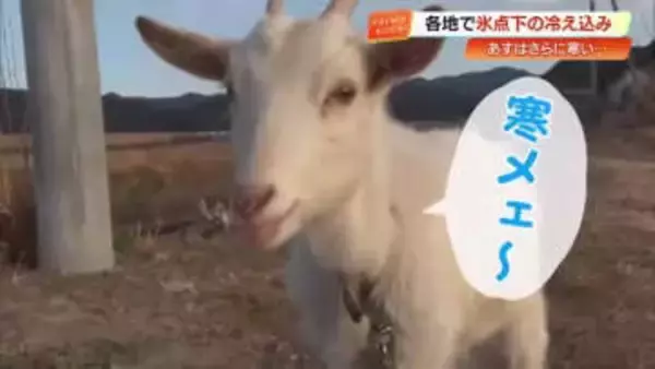 【高知】今季最大の寒気　県内13地点で例年を下回る気温に　あすは多くの地点で氷点下予想