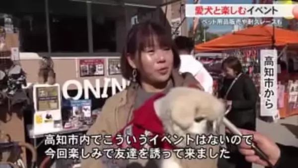 愛犬家のためのお祭り高知で開催