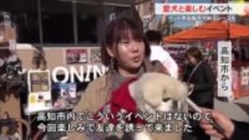 愛犬家のためのお祭り高知で開催