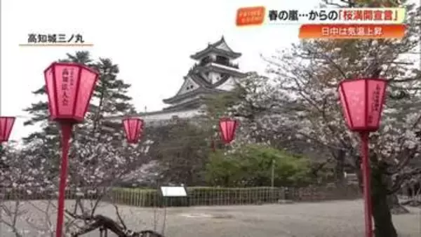 春雷の夜から一転…高知城の桜の標本木がきょう満開に　日中は最高25℃の地点も【高知】