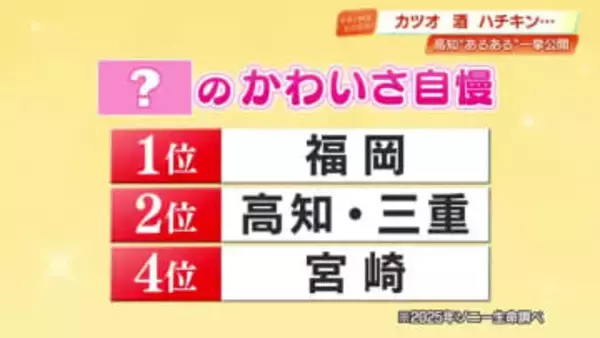 高知県民なら共感必至！？『ご当地自慢ランキング』で方言のカワイさが2位に “朝から飲む”県民性も話題