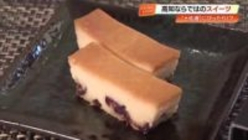 『日本酒に合うチーズケーキ』大ヒット！“CEL-24”酒かす使用、約2週間で230本販売【高知】