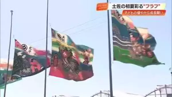 この季節がやってきた！端午の節句を前に、土佐の風物詩「フラフ」が青空にはためく【南国市】
