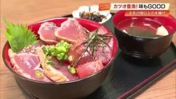 初ガツオ豊漁！“カツオの国”高知県中土佐町　去年の2倍超「黒潮大蛇行」終息で水温上がり味も上々