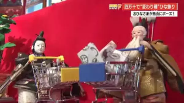 買い物カートを押す人形も　四万十町の古民家カフェで“ユニーク”なひな祭りイベント【高知】