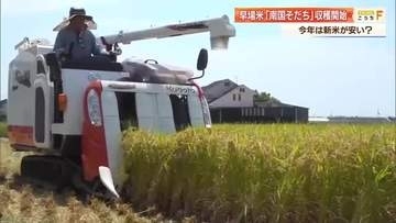 早場米「南国そだち」の収穫開始　今年は安く買える見通しも農家は「資材高騰」「収入減」のダブルパンチ