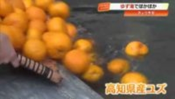 冬至の風物詩　土佐ぽかぽか温泉の露天風呂で「ゆず湯」爽やかな香り漂う【高知市】