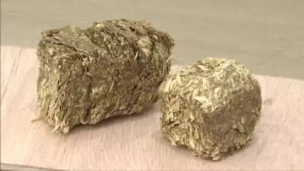 クマの被害を防止　シカだけを誘因する捕獲方法の研修会