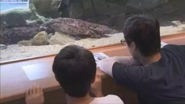 朝来市にオオサンショウウオの生態を学べる施設オープン
