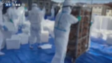 姫路市の養鶏場で鳥インフル疑い 陽性なら今季2例目 検査結果8日午前の見通し