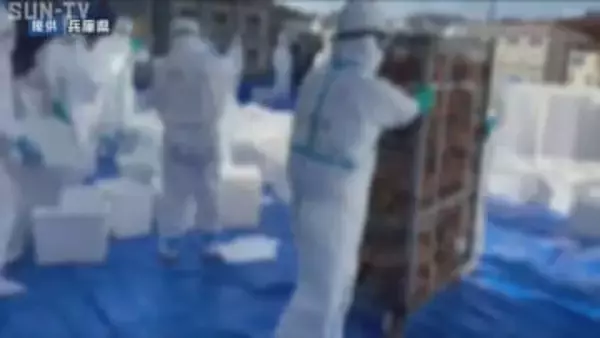 姫路市の養鶏場で鳥インフル疑い 陽性なら今季2例目 検査結果8日午前の見通し