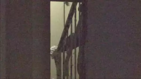 71歳母親を殺害した疑いで同居の42歳息子を逮捕　容疑を否認　播磨町の集合住宅