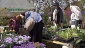 日本三大植木産地の一1つ　宝塚市で植木まつり