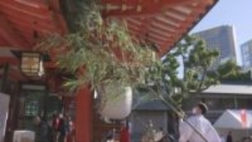正月事始め 神戸の生田神社で恒例の「すす払い」