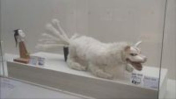 妖怪と生物の間の存在「幻獣」や「妖怪」の特別展　姫路市の県立歴史博物館