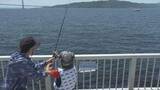 「「兵庫県民釣大会」県内で釣った魚の大きさを競う！」の画像1