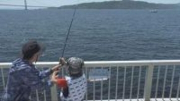 「兵庫県民釣大会」県内で釣った魚の大きさを競う！