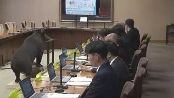 繁殖期を迎えるツキノワグマ対策　県が対策連絡会議