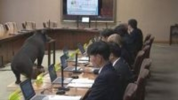 繁殖期を迎えるツキノワグマ対策　県が対策連絡会議
