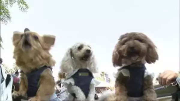 万博ならぬ「わん博」 ワンちゃんと愛犬家が赤穂に大集合