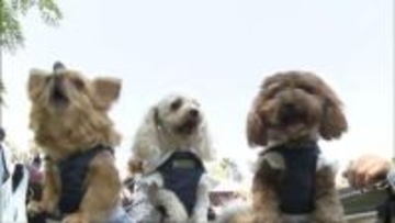 万博ならぬ「わん博」 ワンちゃんと愛犬家が赤穂に大集合