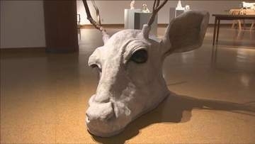 動物の頭部や皮膚を表現する美術作家・東影智裕さんの作品展 あさご芸術の森美術館