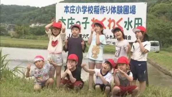 県内有数の米どころ　三田市で小学生が田植え体験