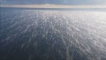 白く煙る海　洲本市の海岸で「気嵐」　今季一番の冷え込み