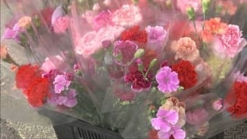 知っとぉ？淡路市のカーネーション 無料で花束を配りPR